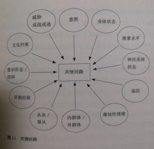 搜狗截图24年06月06日2046_6.jpg