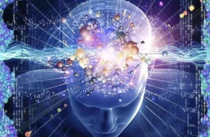 搜狗截图25年11月23日1252_3.jpg 搜狗截图25年11月23日1252_3.jpg