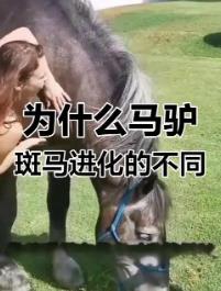 搜狗截图25年05月03日2214_20.jpg