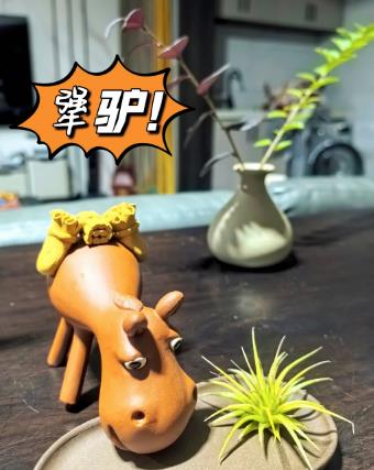 搜狗截图25年05月03日1748_12.jpg