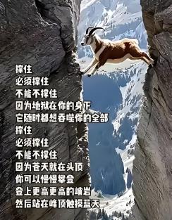 搜狗截图25年05月03日1741_9.jpg