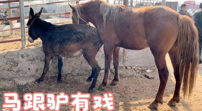 搜狗截图25年05月03日2206_14.jpg