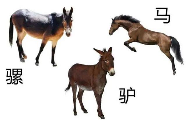 搜狗截图25年05月03日2207_15.jpg