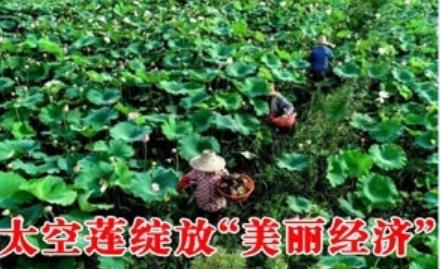 搜狗截图25年08月13日1359_10.jpg