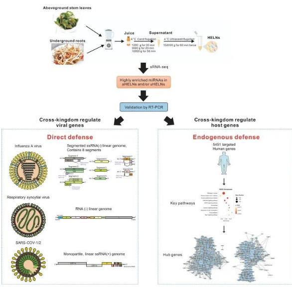 搜狗截图26年01月21日2124_4.jpg 搜狗截图26年01月21日2124_4.jpg