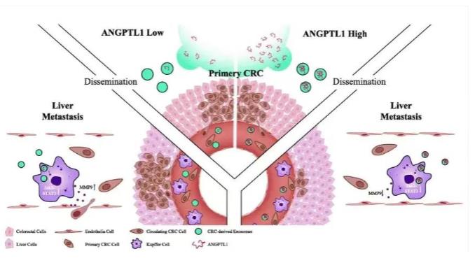 搜狗截图26年01月20日2040_24.jpg 搜狗截图26年01月20日2040_24.jpg