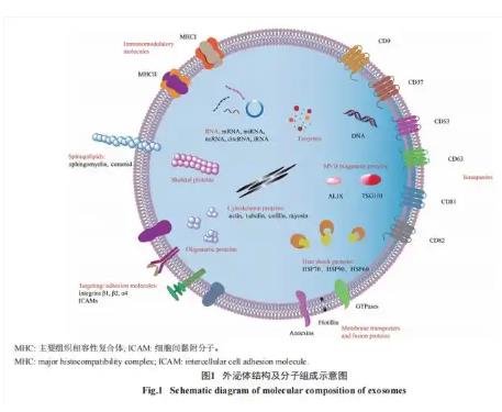 搜狗截图26年01月21日2137_16.jpg 搜狗截图26年01月21日2137_16.jpg