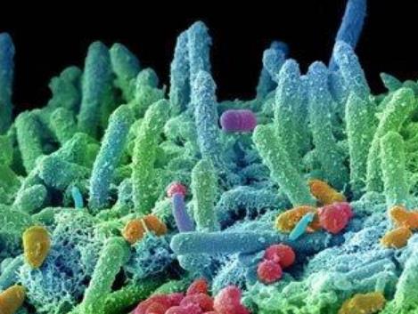 搜狗截图26年01月22日1932_7.jpg 搜狗截图26年01月22日1932_7.jpg