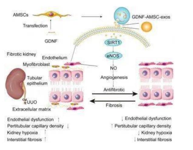 搜狗截图26年01月20日2016_12.jpg 搜狗截图26年01月20日2016_12.jpg