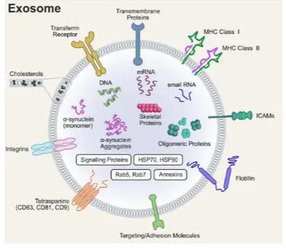 搜狗截图26年01月20日2037_22.jpg 搜狗截图26年01月20日2037_22.jpg