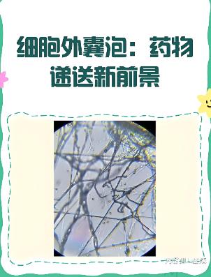 搜狗截图26年01月21日2134_12.jpg 搜狗截图26年01月21日2134_12.jpg