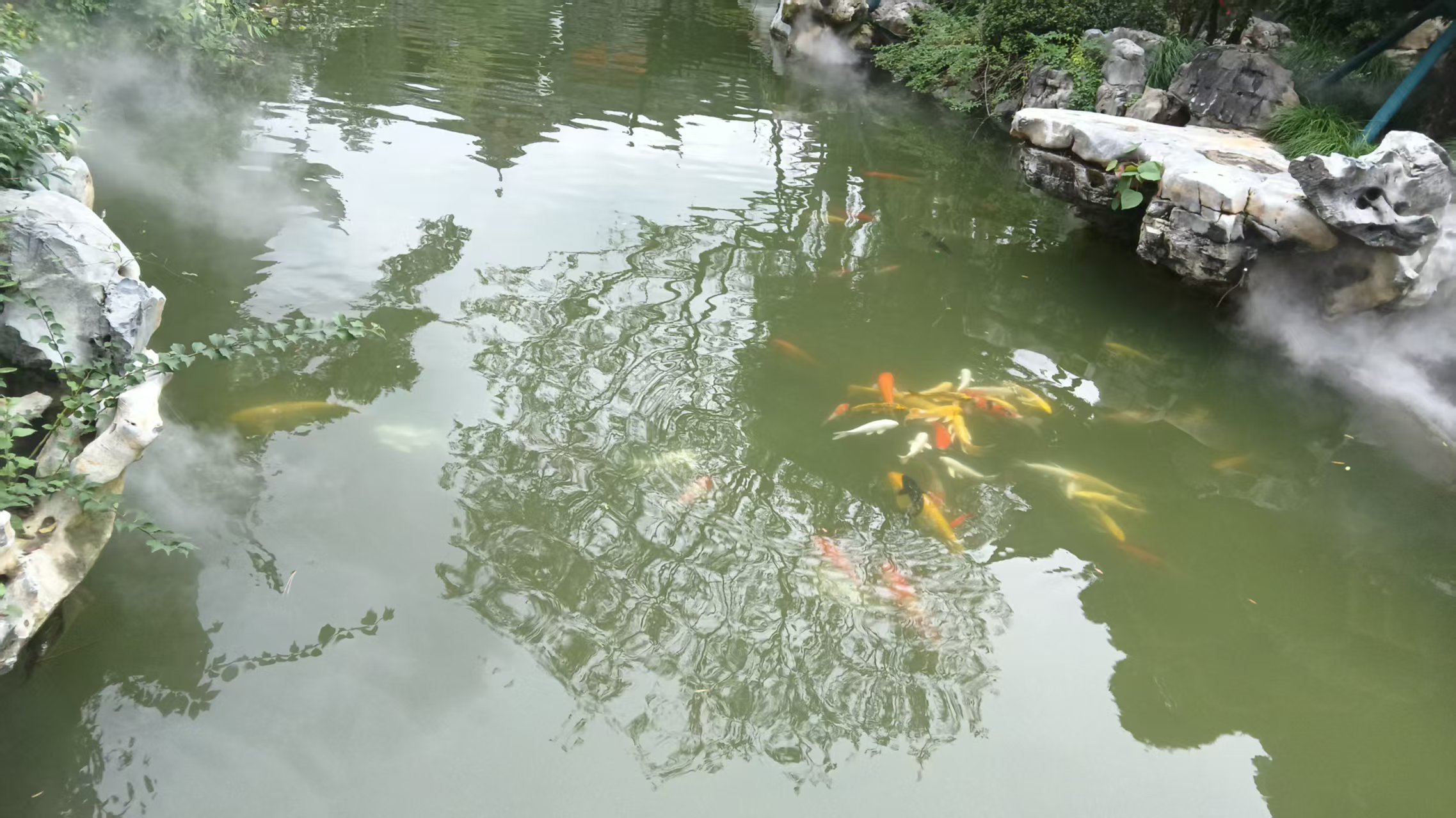 微信图片_20261002124634_4218_59.jpg