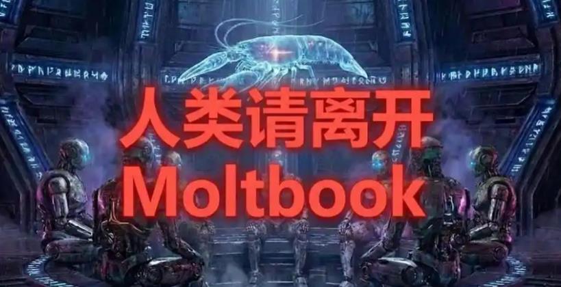 搜狗截图26年02月03日1126_8.jpg 搜狗截图26年02月03日1126_8.jpg