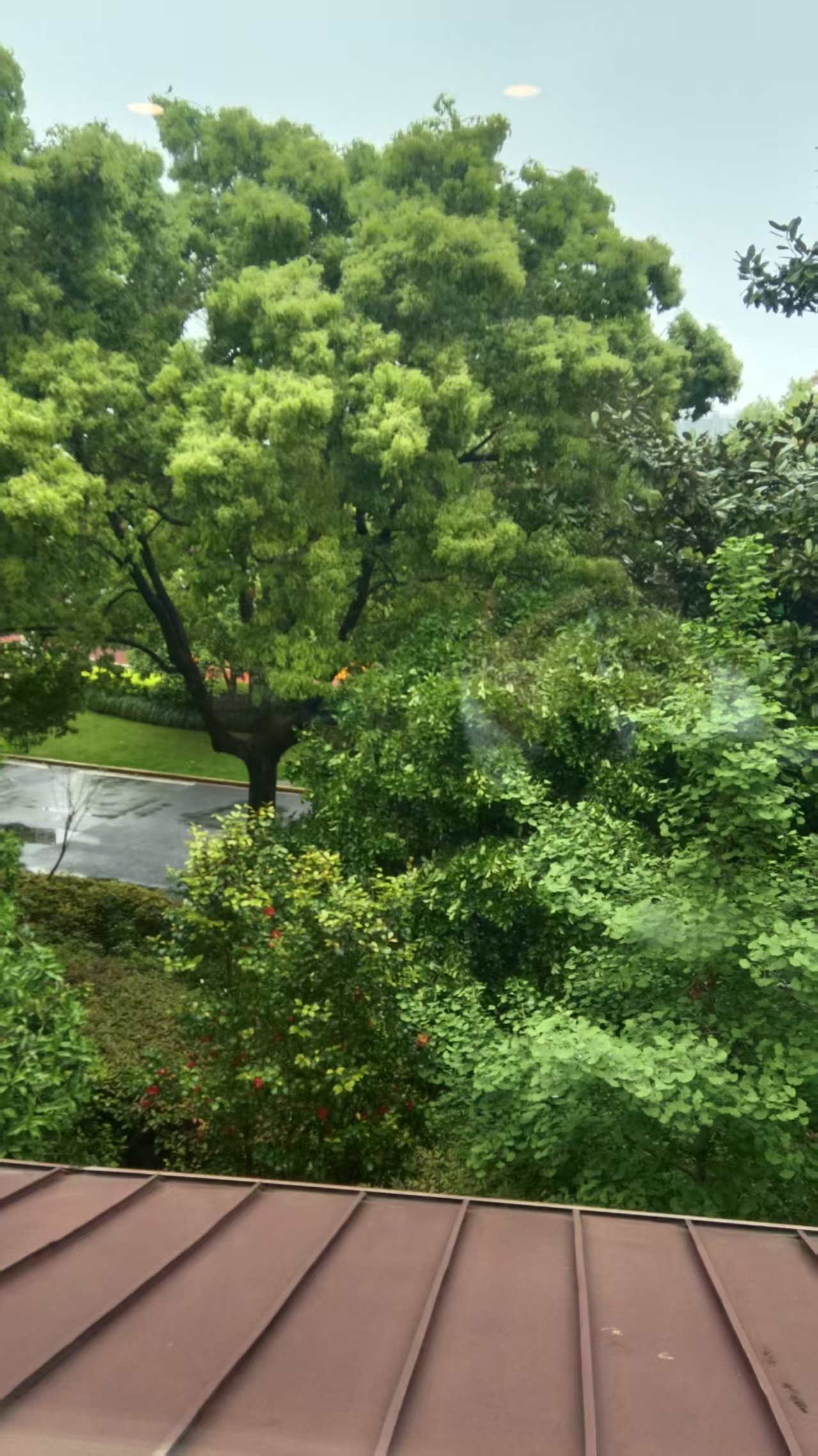 微信图片_20260422230408_94_59.jpg