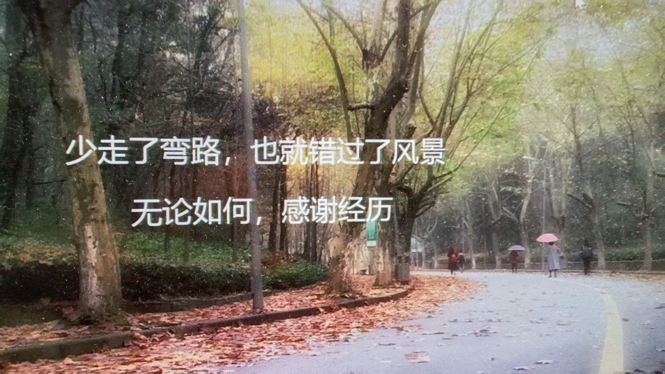 微信图片_20260506203922_1006_223.jpg