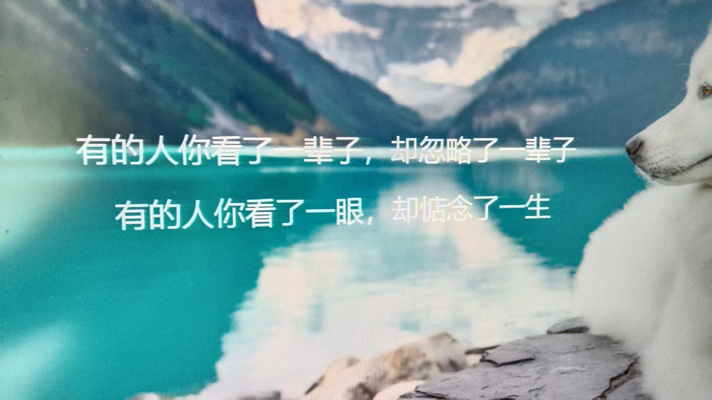微信图片_20260724110153_1787_59.jpg