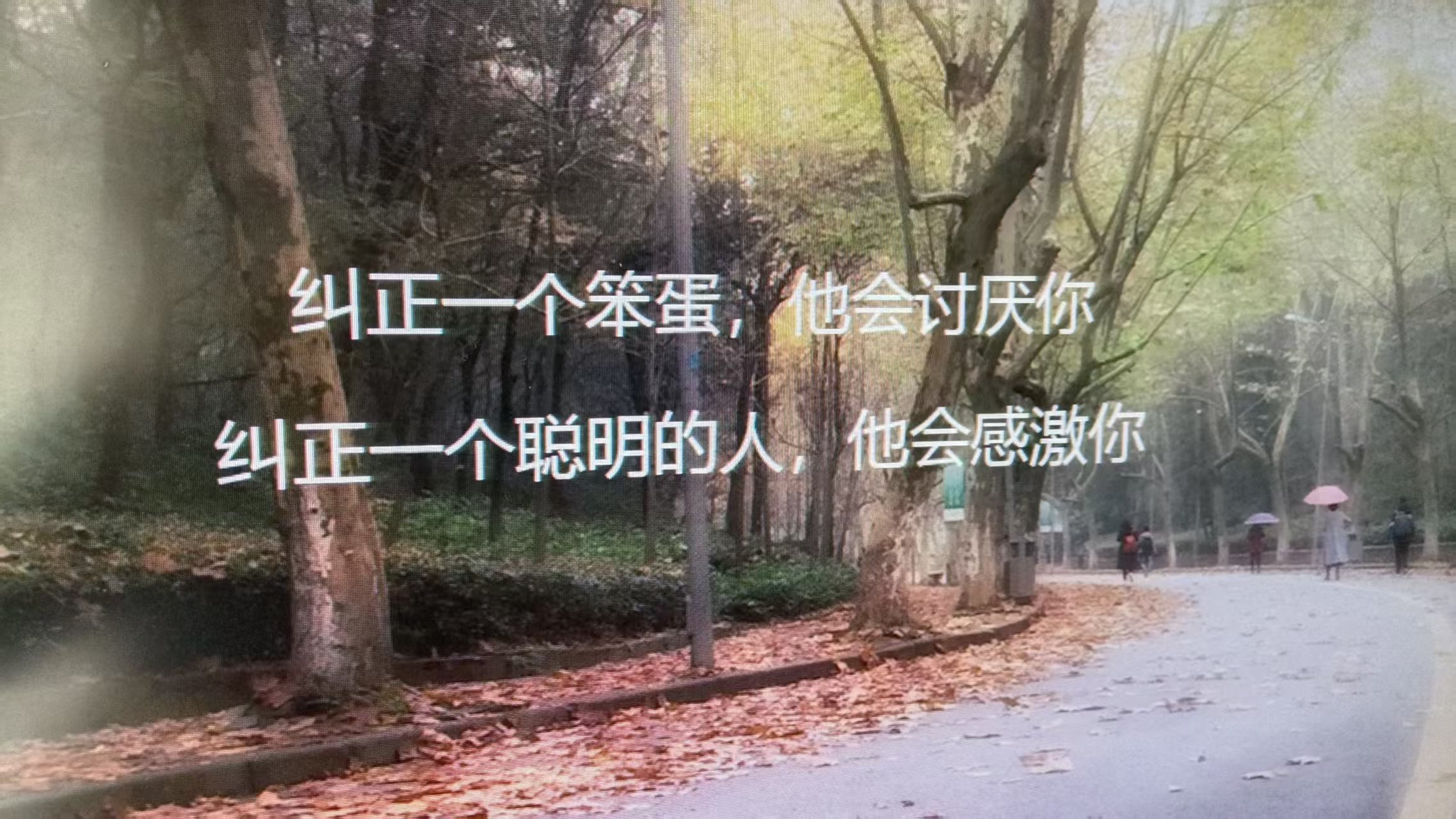 微信图片_20260724110144_1781_59.jpg