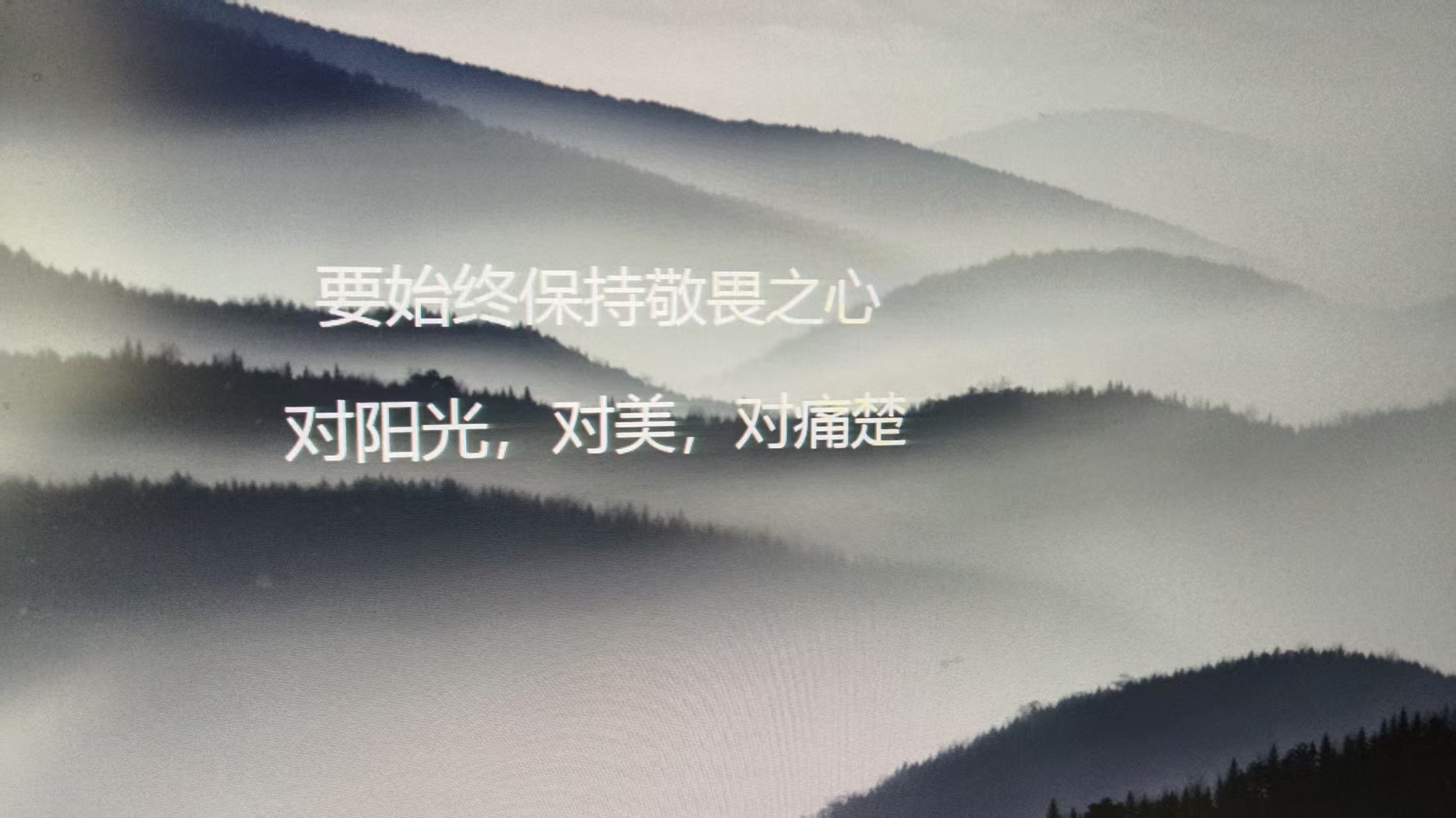 微信图片_20260724110143_1780_59.jpg