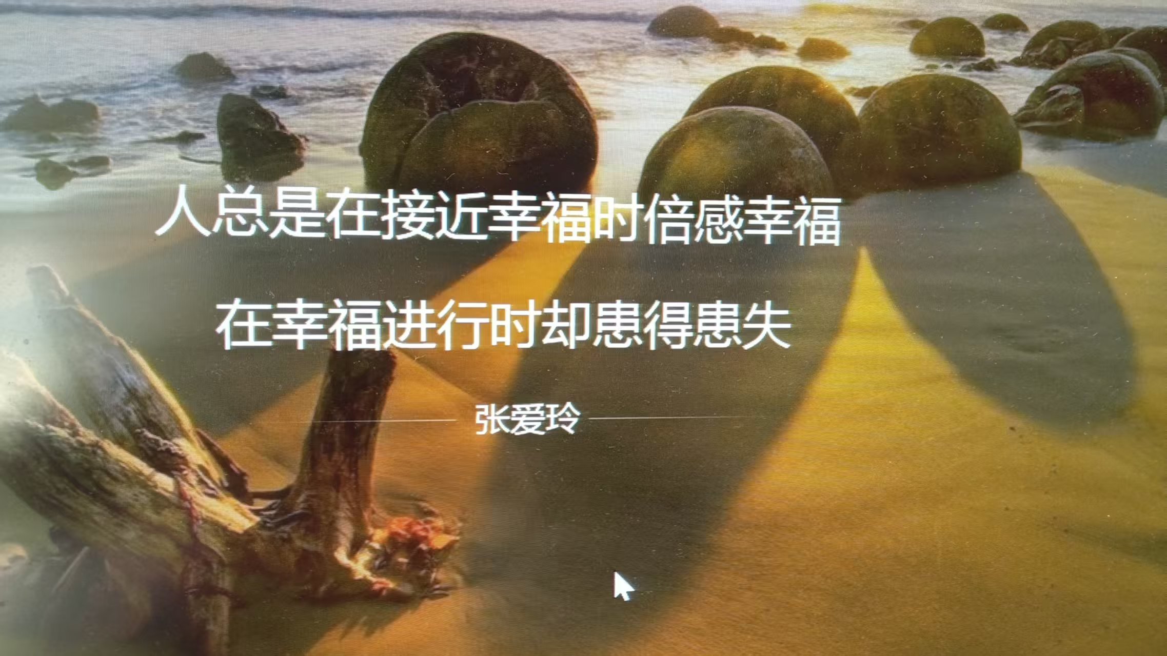 微信图片_20260724110213_1799_59.jpg