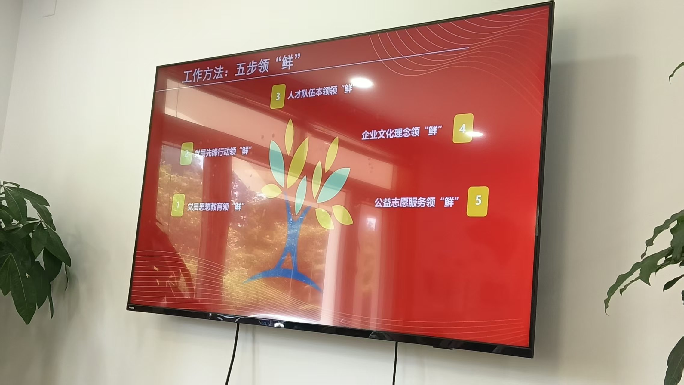 微信图片_20260714113102_1177_59.jpg 微信图片_20260714113102_1177_59.jpg