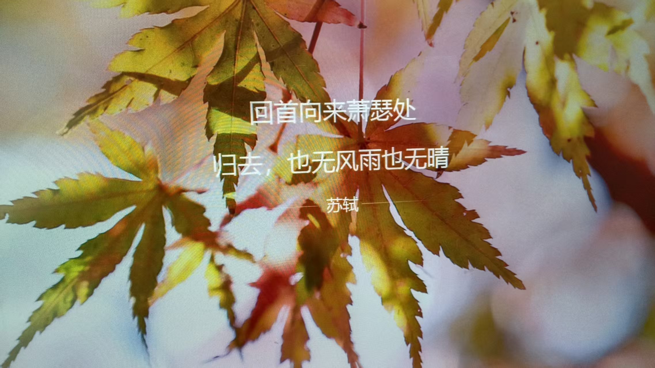微信图片_20260724110201_1792_59.jpg