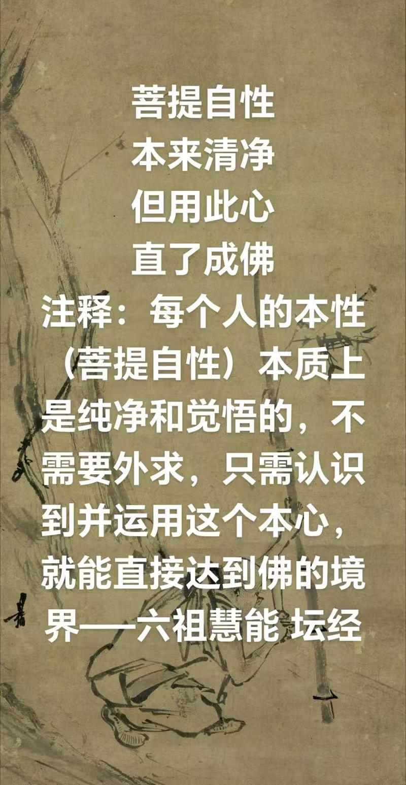 微信图片_20260710131058_899_59.jpg