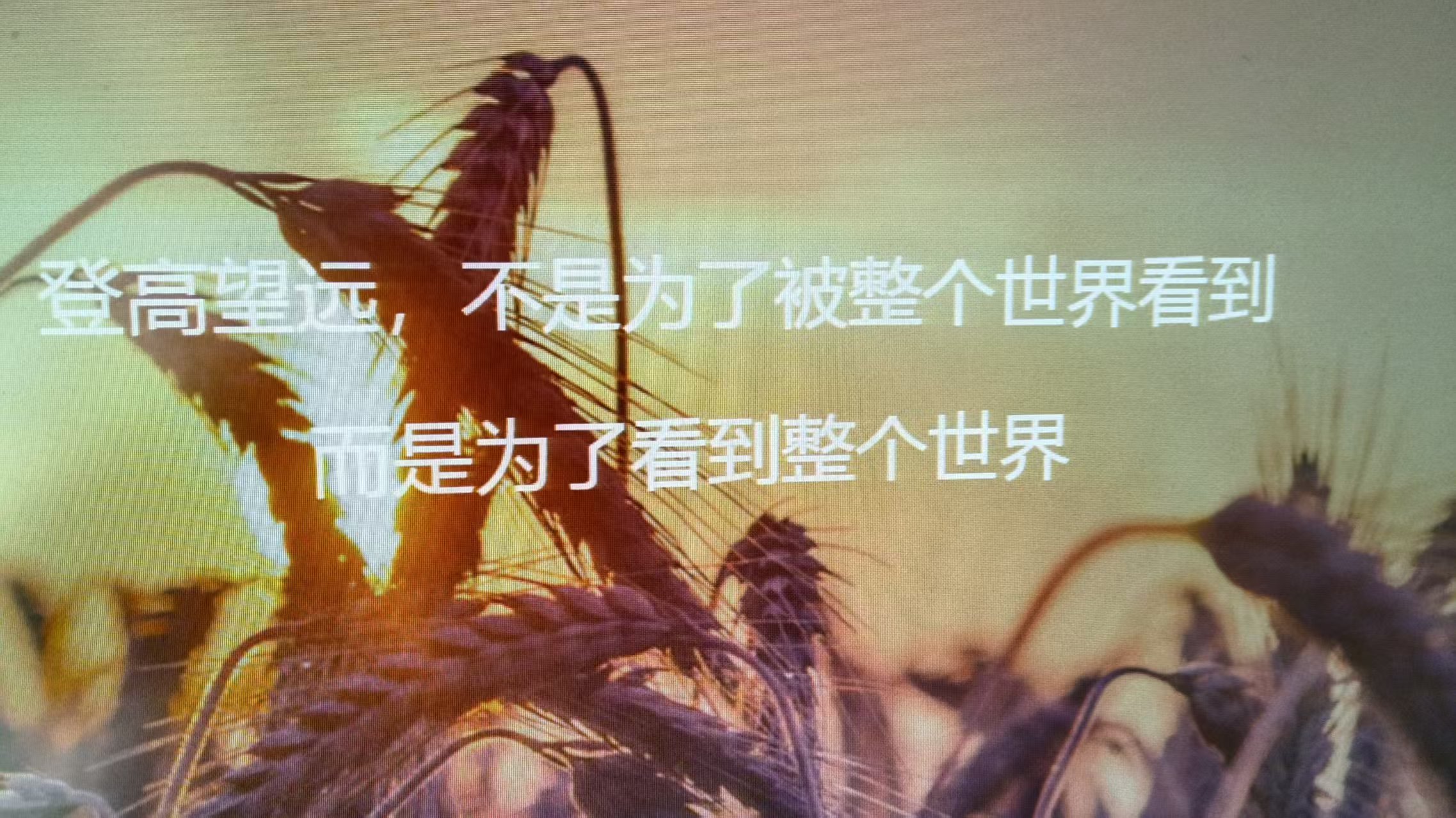 微信图片_20260724110140_1778_59.jpg
