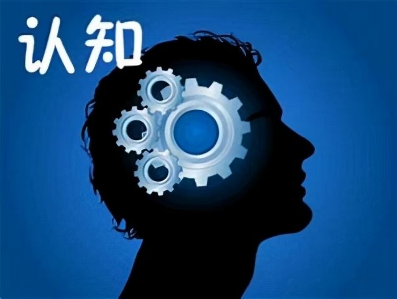 微信图片_20260725223035_1867_59.jpg