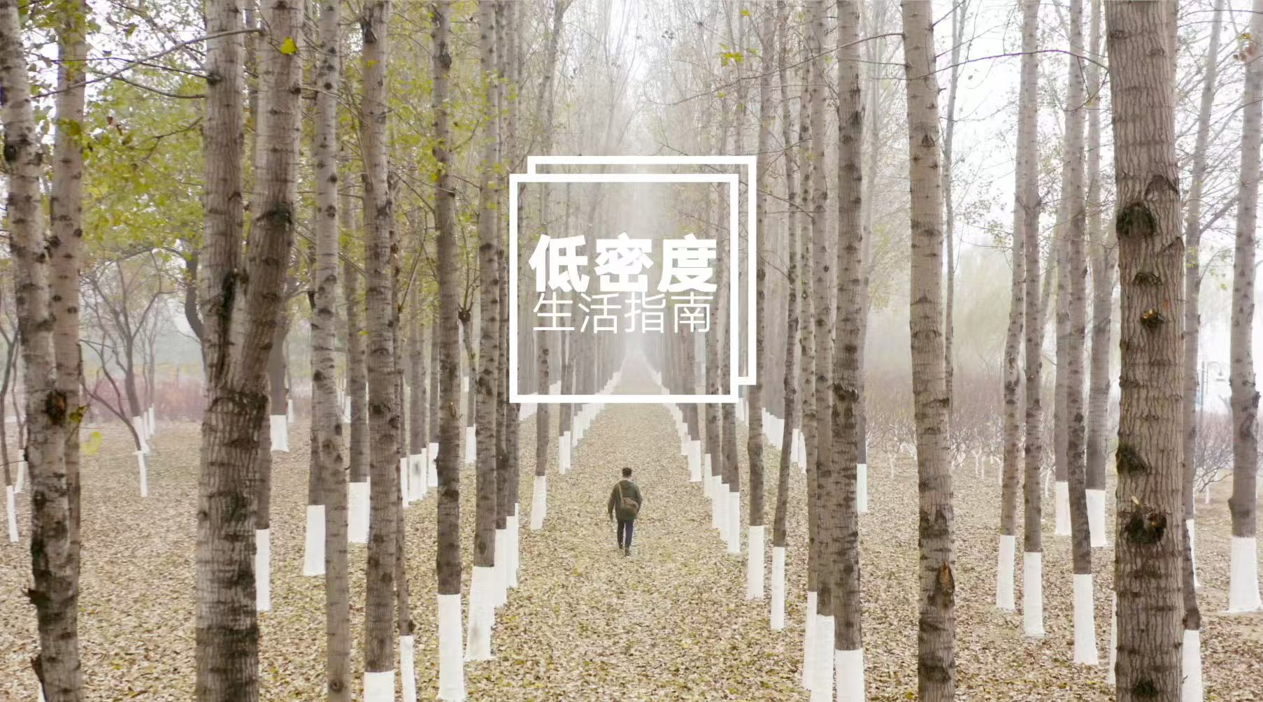 微信图片_20260907213537_3466_59.jpg